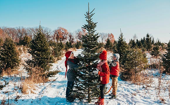 kids standing by Christmas tree tree at a tree farm 